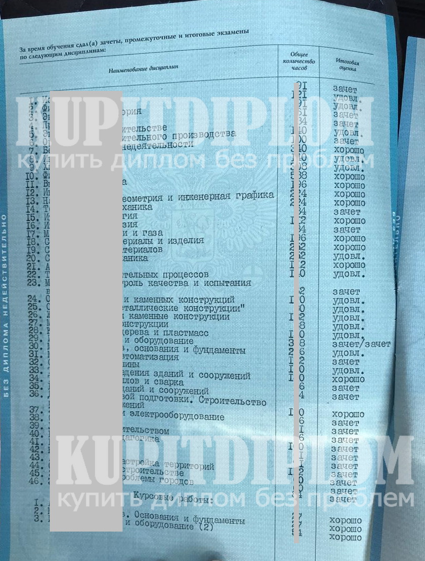 Образец диплома МГОУ 2004 года ПГС (Предметы)